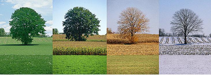 经典名作《巫术》重制版斩获格莱美电子游戏音乐大奖